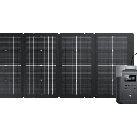 Pack Delta max 2 + 1 panneau solaire 220W