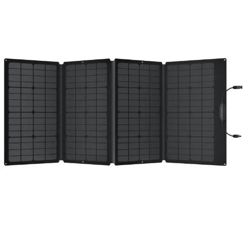 Pack River 2 Max + 1 panneau solaire 160W – Image 2